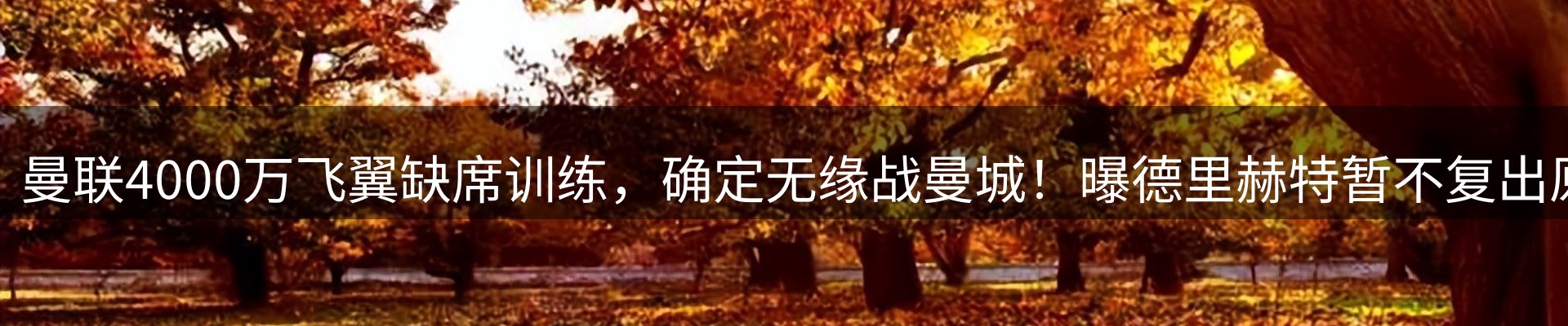 资讯内容